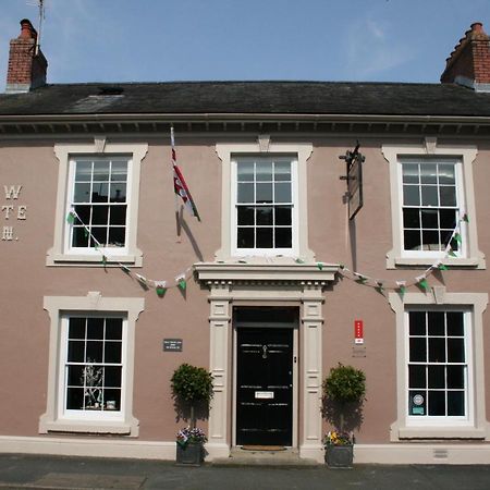 Hotel The New White Lion Llandovery Esterno foto
