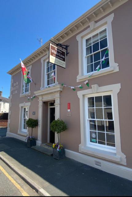 Hotel The New White Lion Llandovery Esterno foto